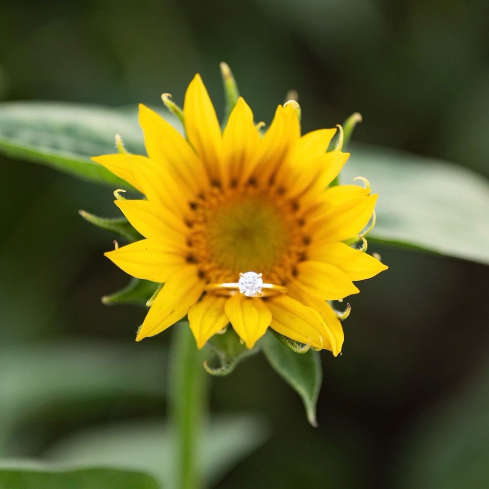 Brilliant Earth Engagement Ring